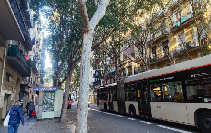 Traspaso - Obradores y/o Panaderias -
Barcelona - Sant Antoni