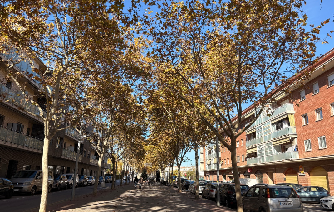 Traspaso - Take Away -
Pallejà