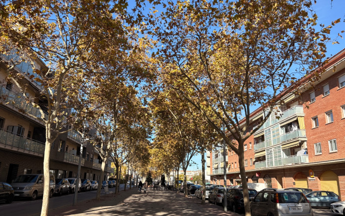 Traspaso - Take Away -
Pallejà