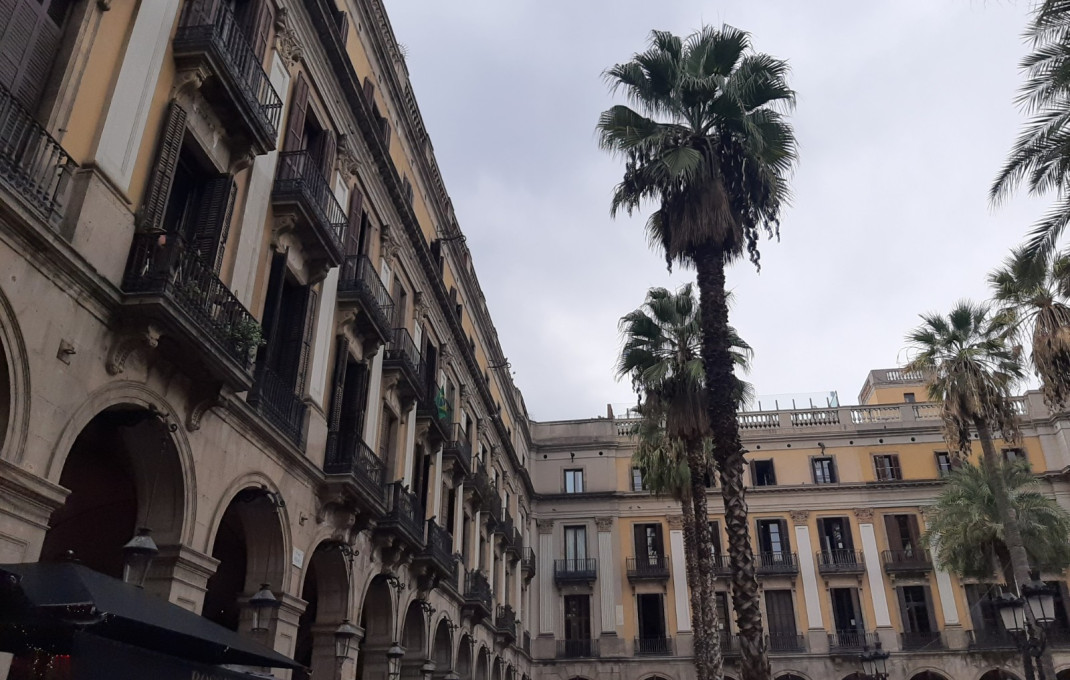 Venta - Piso -
Barcelona - Ciutat Vella, Raval