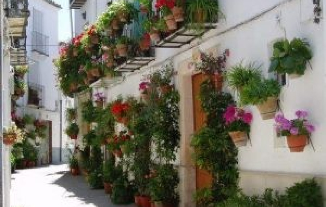 Venta - Hotel 2 Estrellas -
Jaén  - Villanueva del Arzobispo