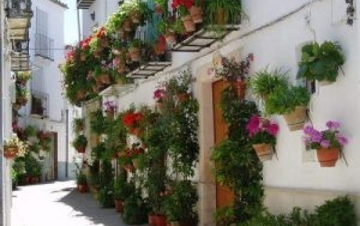 Venta - Hotel 2 Estrellas -
Jaén  - Villanueva del Arzobispo