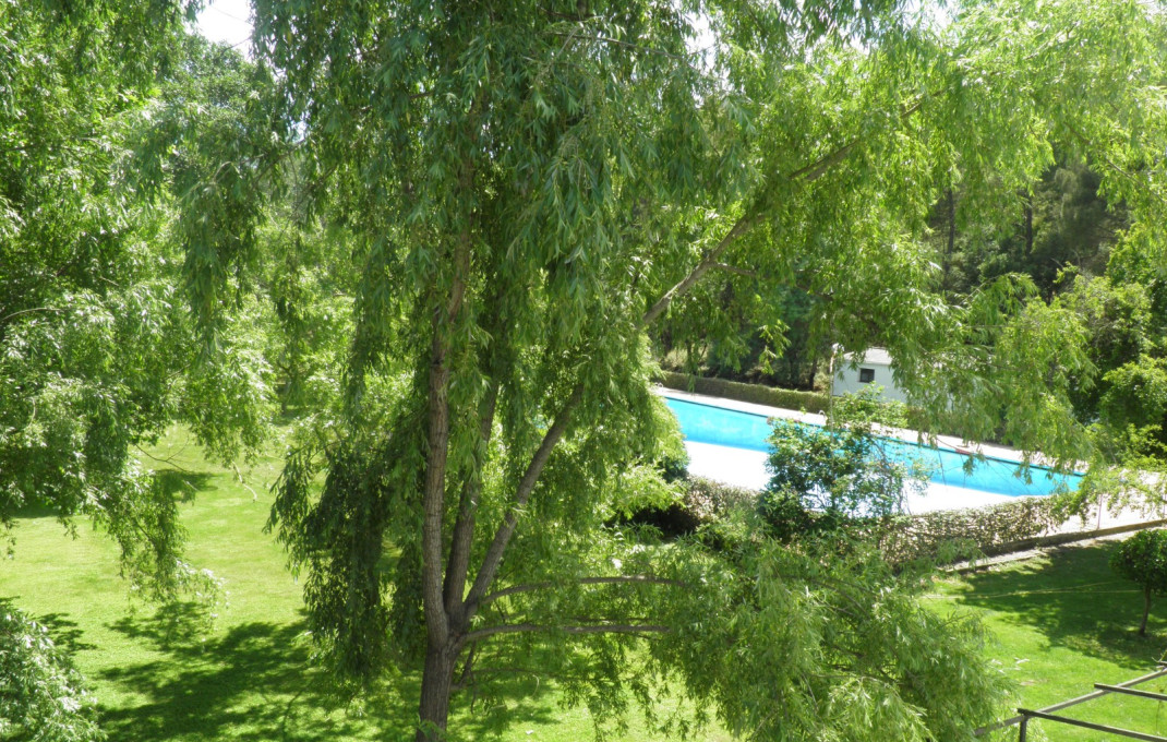 Venta - Hostal -
Ciudad Real - Fuencaliente