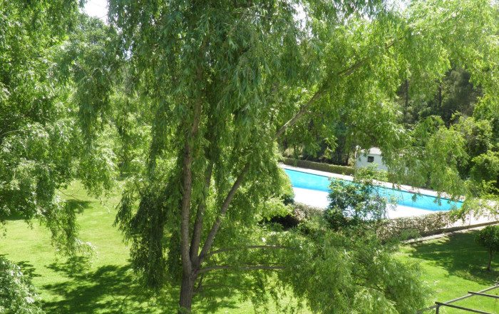 Venta - Hostal -
Ciudad Real - Fuencaliente