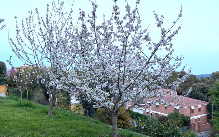 Venta - Casa -
Cerdanyola del Vall&egrave;s