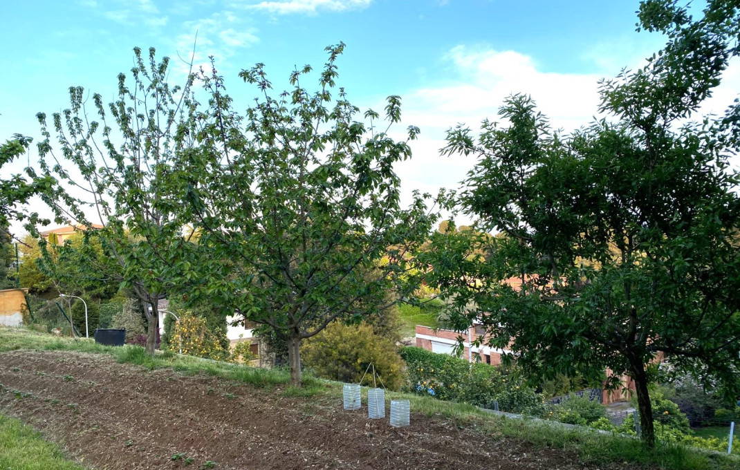 Venta - Casa -
Cerdanyola del Vall&egrave;s
