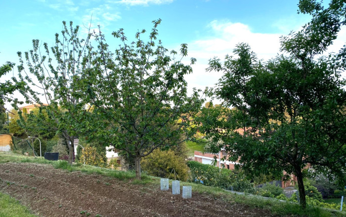 Venta - Casa -
Cerdanyola del Vall&egrave;s