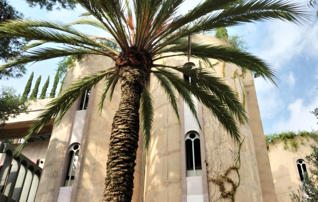 Traspaso - Bar Restaurante -
Sant Just Desvern - Centre