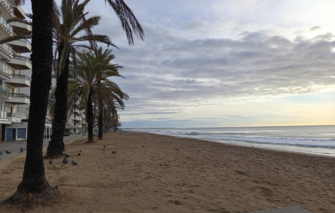 Traspaso - Bar-Cafeteria -
Calafell