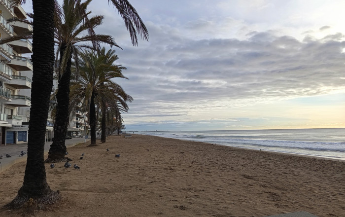 Traspaso - Bar-Cafeteria -
Calafell