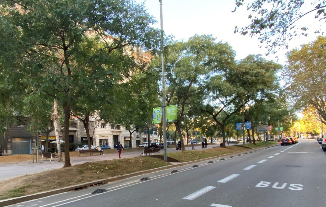 Traspaso - Restaurante -
Barcelona - Eixample Izquierdo