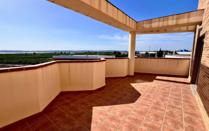 Rental - Hotle 3* -
Alicante