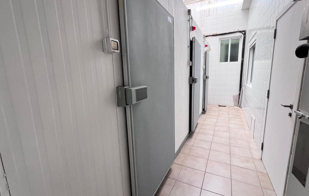 Rental - Hotle 3* -
Alicante