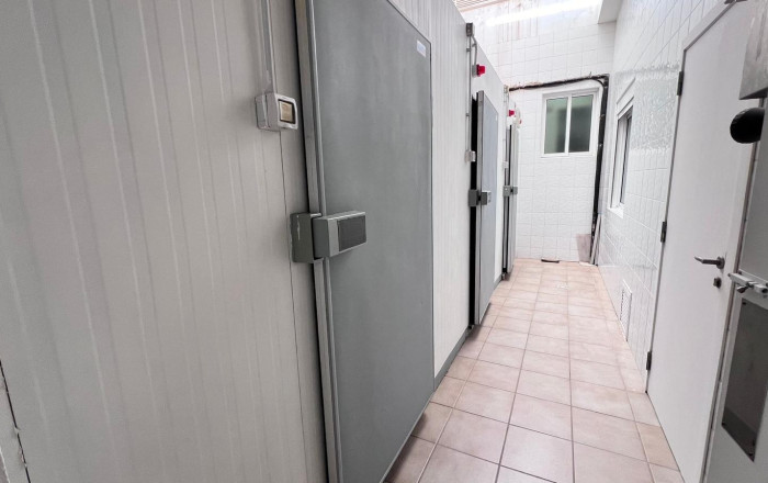 Rental - Hotle 3* -
Alicante