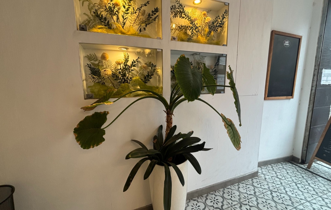 Traspaso - Obradores y/o Panaderias -
Barcelona - Nou Barris