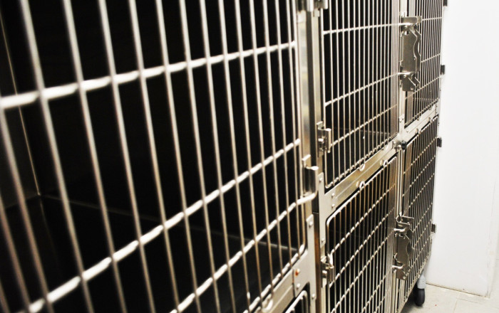 Traspaso - Clinica -
Barcelona - Les corts