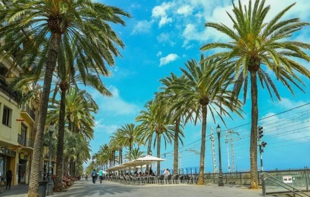 Traspaso - Bar Restaurante -
Badalona - Casagemes