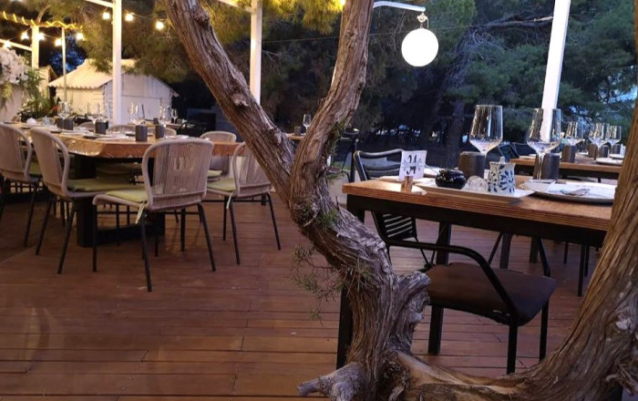 Sale - Bar Restaurante -
Formentera