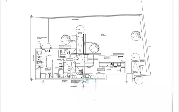 Sale - Bar Restaurante -
Formentera