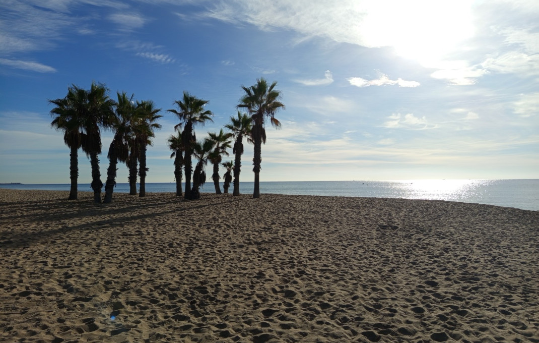 Venta - Bar Restaurante -
Roda de Bar&agrave;