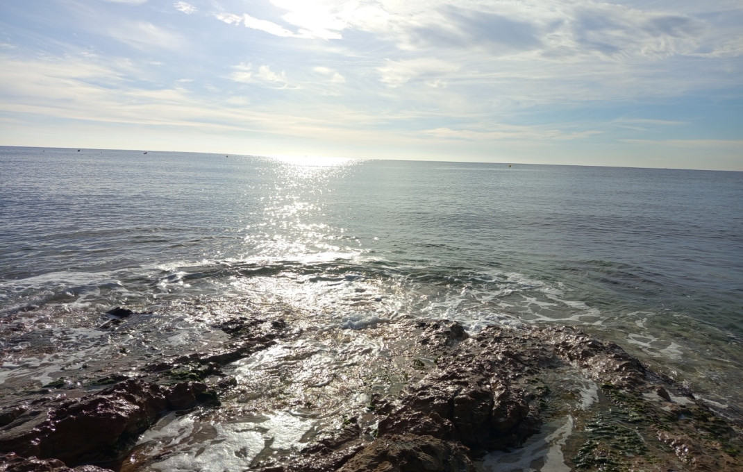 Venta - Bar Restaurante -
Roda de Bar&agrave;