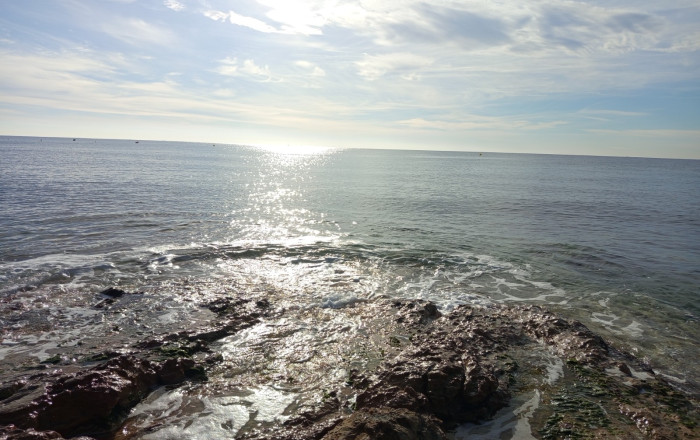 Venta - Bar Restaurante -
Roda de Bar&agrave;