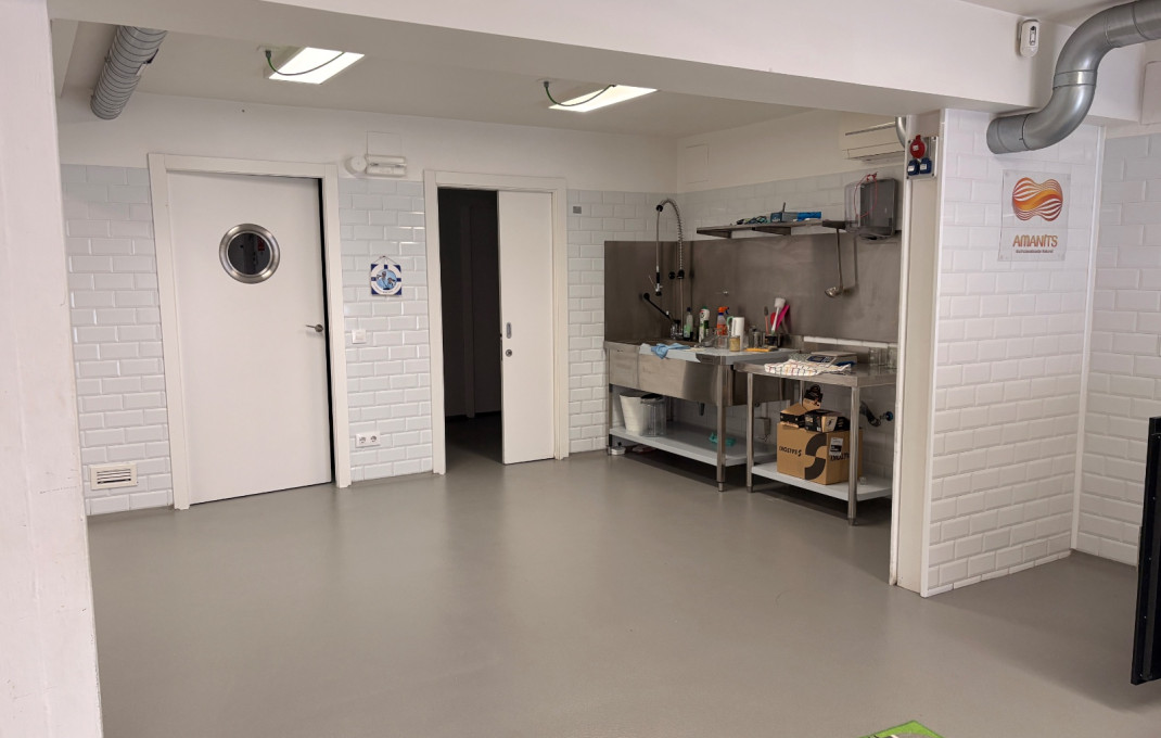 Transfert - Obradores y/o Panaderias -
Sant Joan Despí - Centro