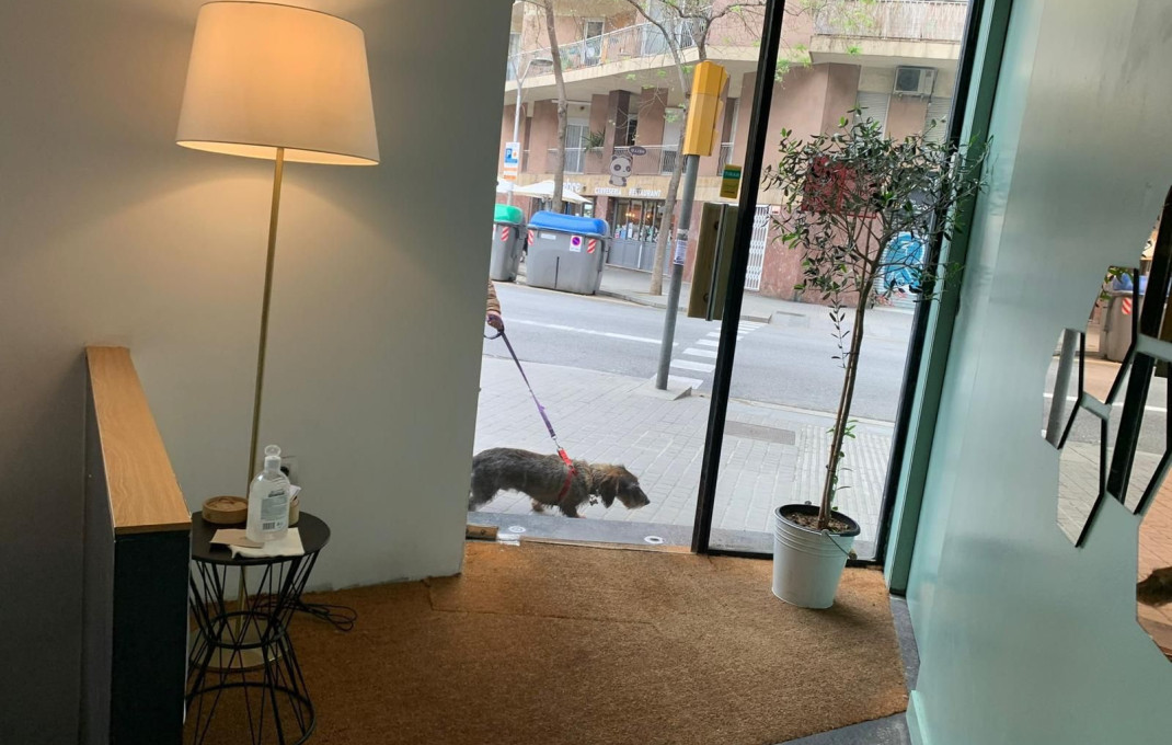 Transfert - Bar Restaurante -
Barcelona - Eixample