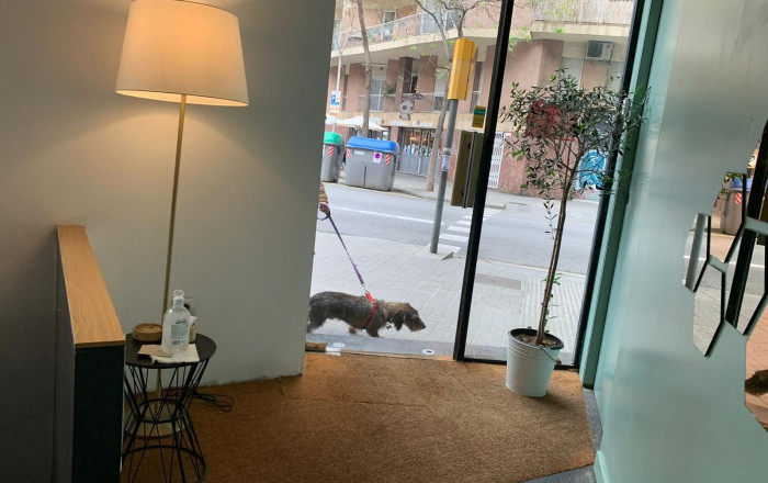 Transfert - Bar Restaurante -
Barcelona - Eixample