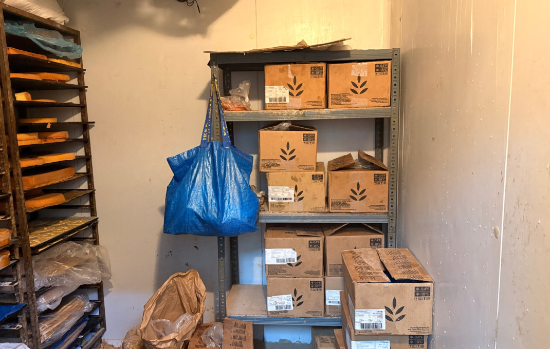 Transfert - Obradores y/o Panaderias -
El Prat de Llobregat