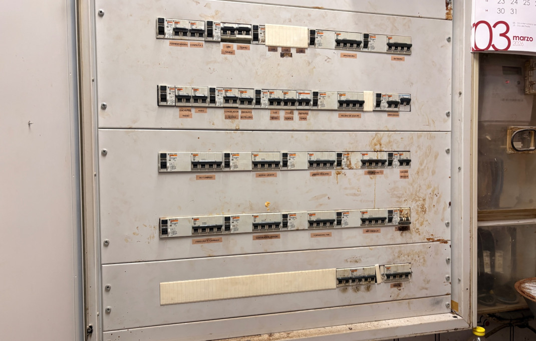 Transfert - Obradores y/o Panaderias -
El Prat de Llobregat