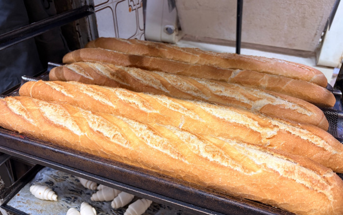 Transfert - Obradores y/o Panaderias -
El Prat de Llobregat