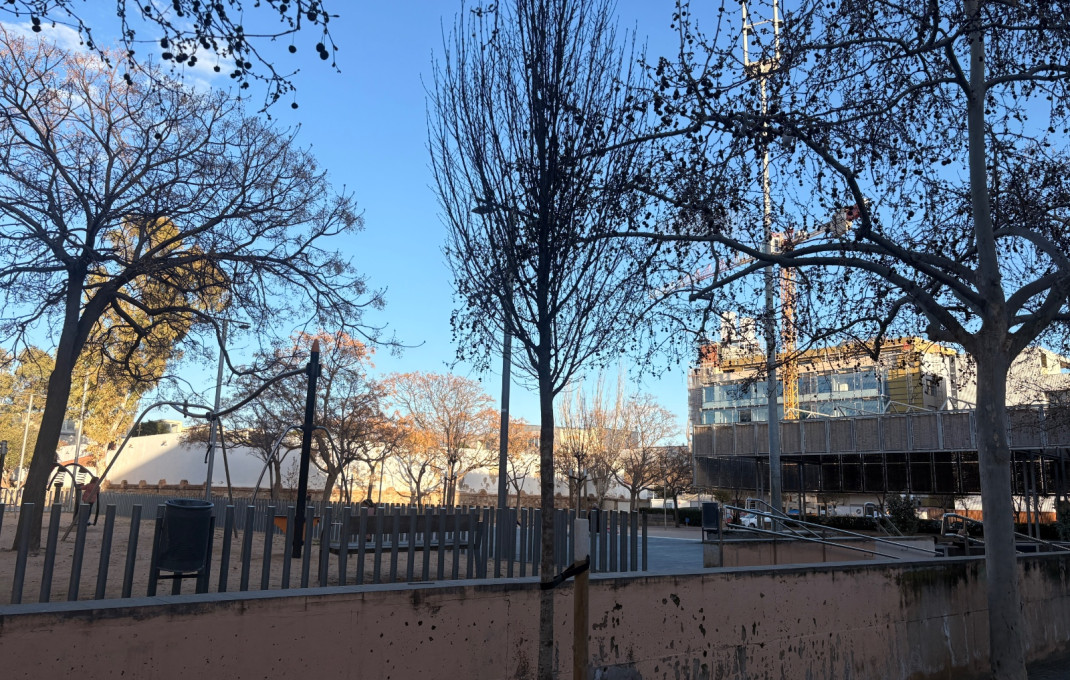 Transfert - Obradores y/o Panaderias -
El Prat de Llobregat