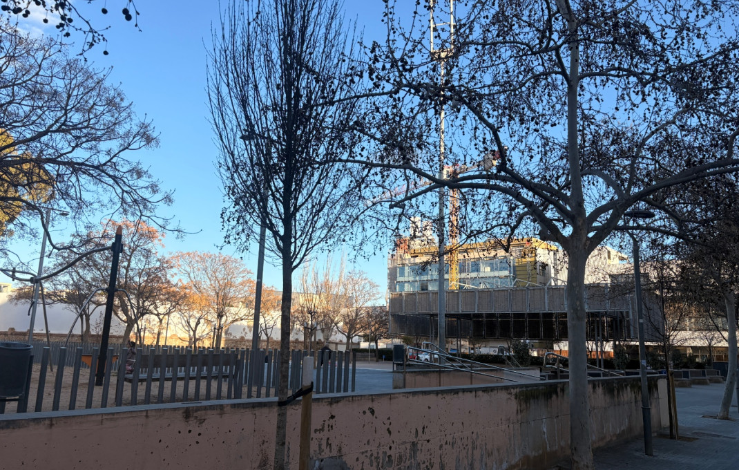 Transfert - Obradores y/o Panaderias -
El Prat de Llobregat