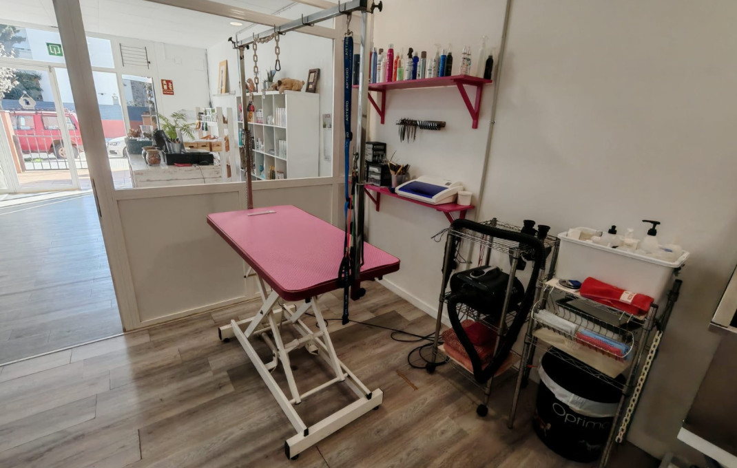 Transfer - Peluquerias y Estetica -
Palau-solit&agrave; i Plegamans