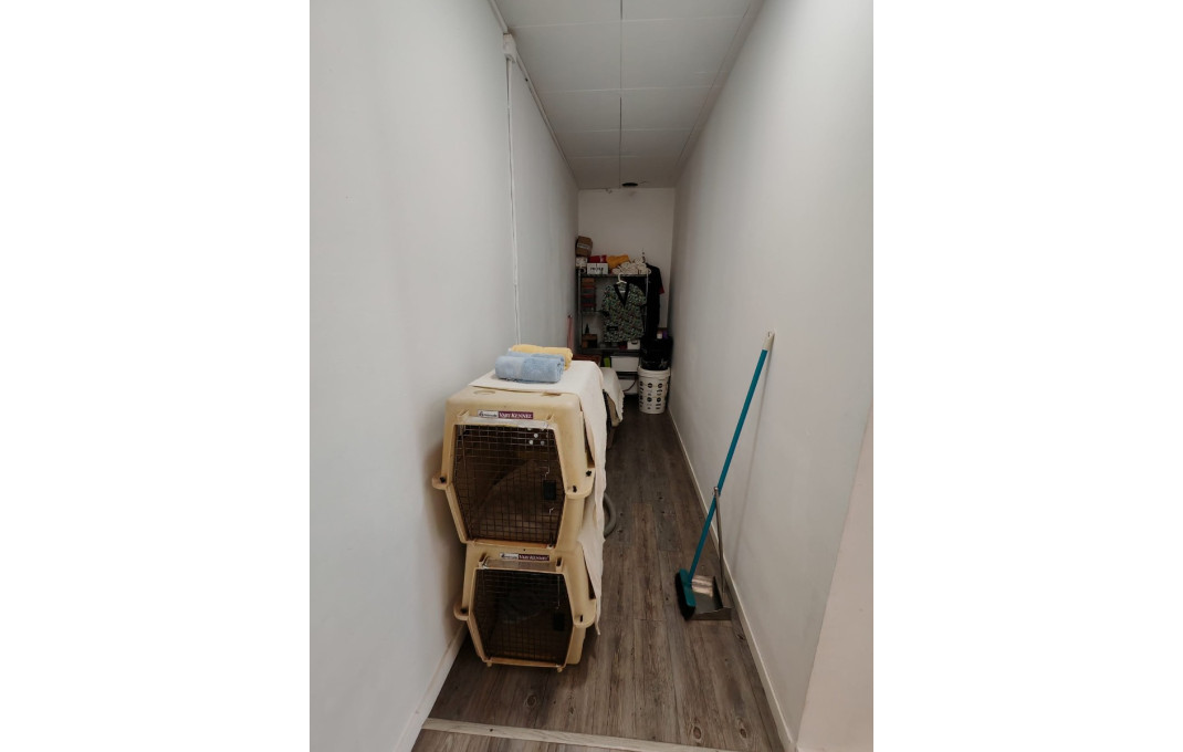 Transfer - Peluquerias y Estetica -
Palau-solit&agrave; i Plegamans