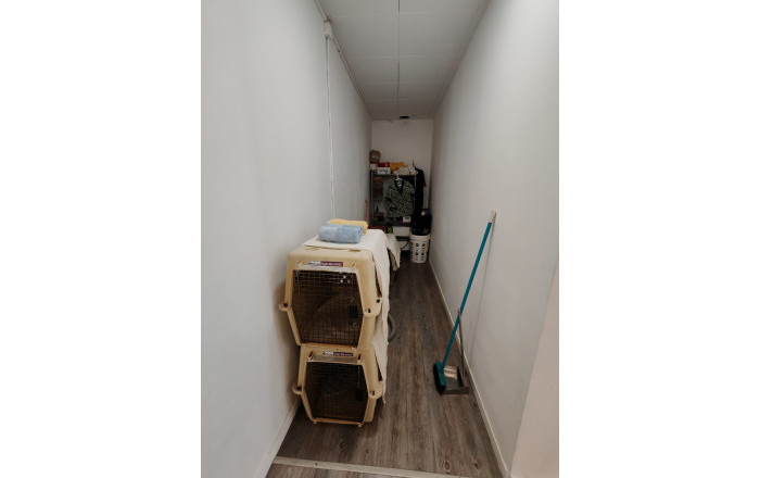 Transfer - Peluquerias y Estetica -
Palau-solit&agrave; i Plegamans