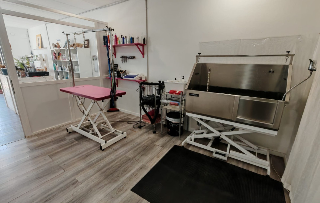 Transfer - Peluquerias y Estetica -
Palau-solit&agrave; i Plegamans