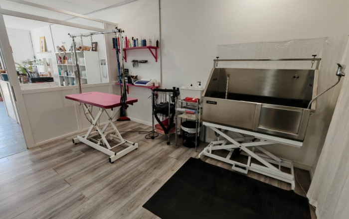 Transfer - Peluquerias y Estetica -
Palau-solit&agrave; i Plegamans