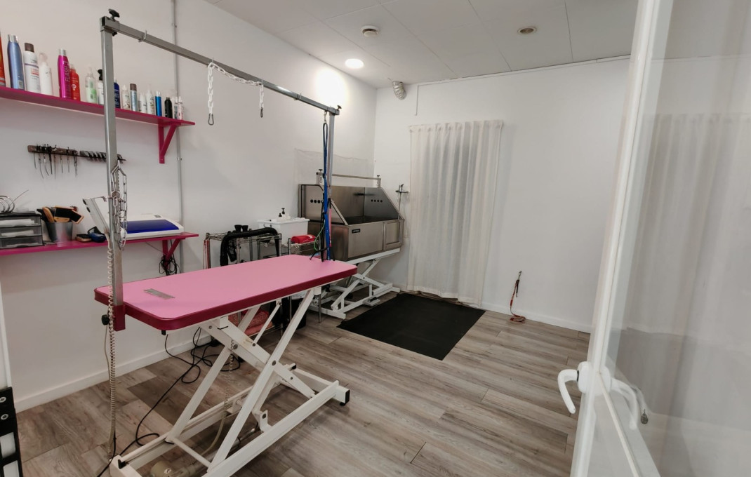 Transfer - Peluquerias y Estetica -
Palau-solit&agrave; i Plegamans