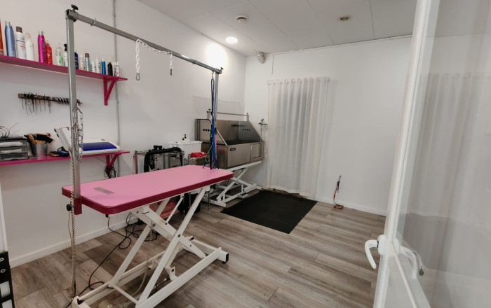 Transfer - Peluquerias y Estetica -
Palau-solit&agrave; i Plegamans