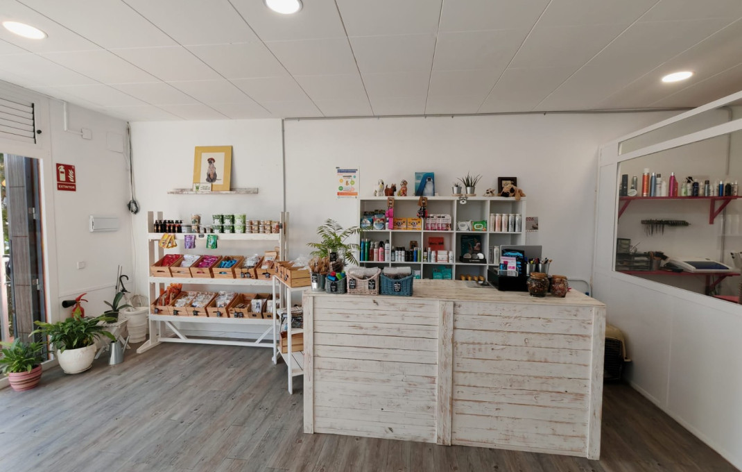 Transfer - Peluquerias y Estetica -
Palau-solit&agrave; i Plegamans