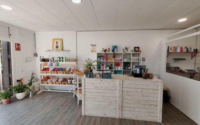 Transfer - Peluquerias y Estetica -
Palau-solit&agrave; i Plegamans