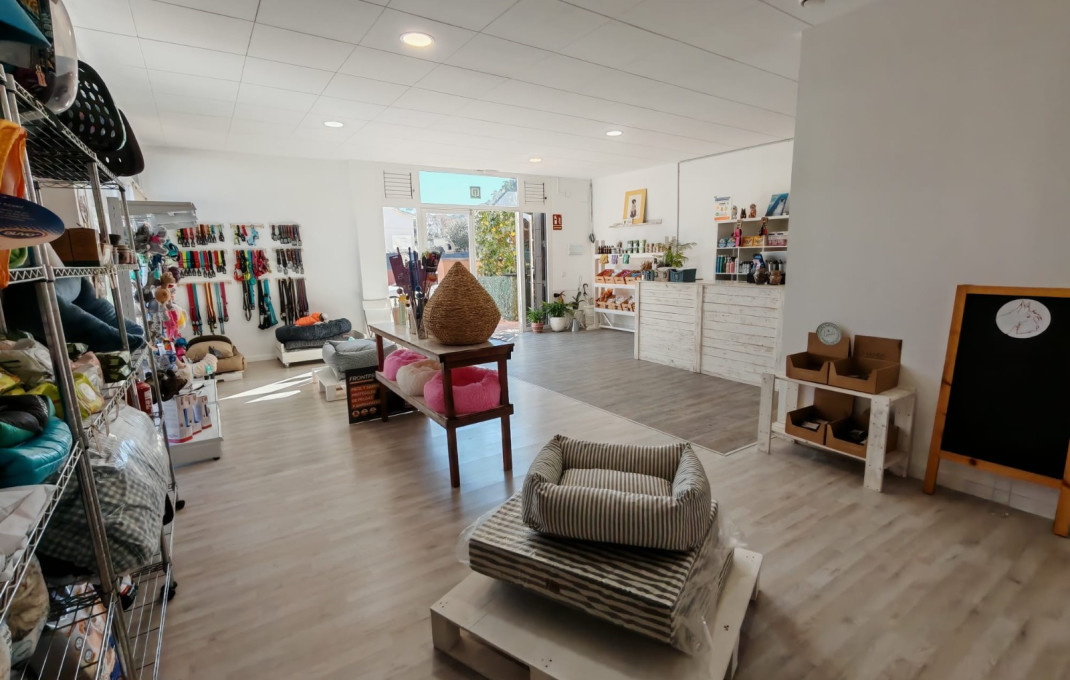 Transfer - Peluquerias y Estetica -
Palau-solit&agrave; i Plegamans