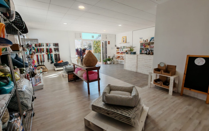 Transfer - Peluquerias y Estetica -
Palau-solit&agrave; i Plegamans