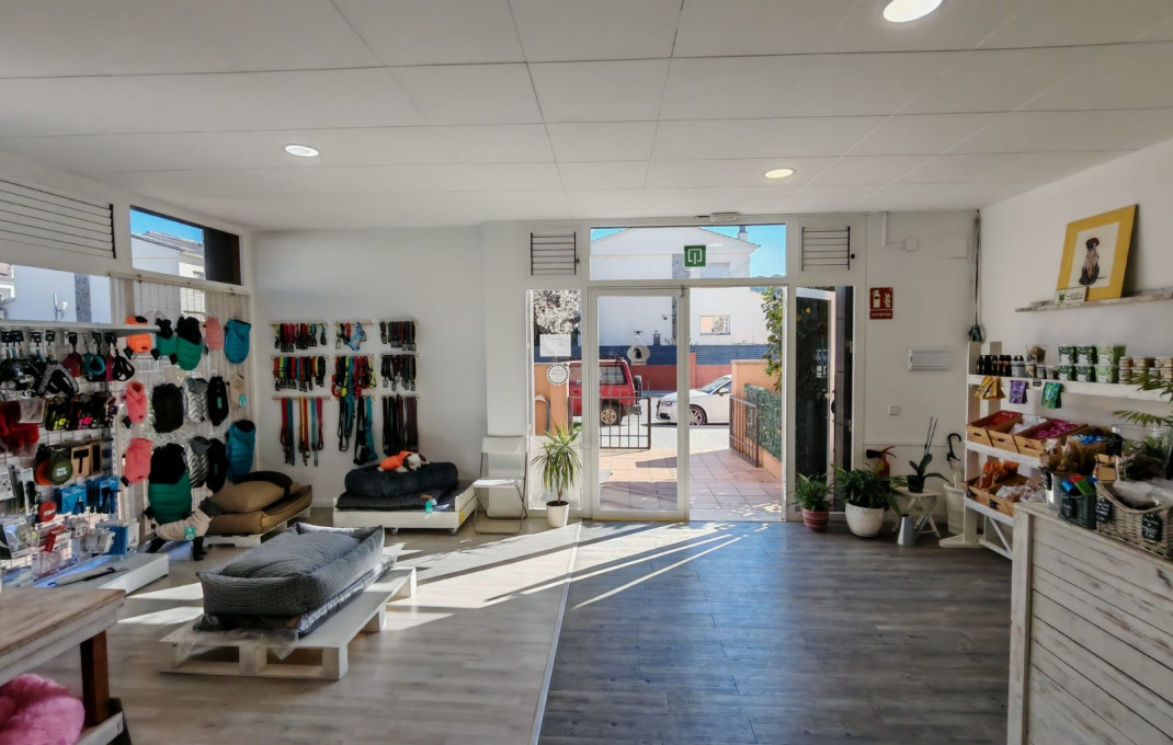 Transfer - Peluquerias y Estetica -
Palau-solit&agrave; i Plegamans