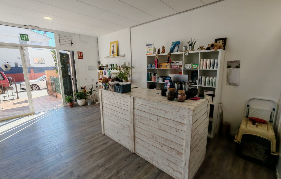 Transfer - Peluquerias y Estetica -
Palau-solit&agrave; i Plegamans