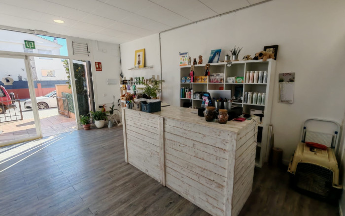 Transfer - Peluquerias y Estetica -
Palau-solit&agrave; i Plegamans