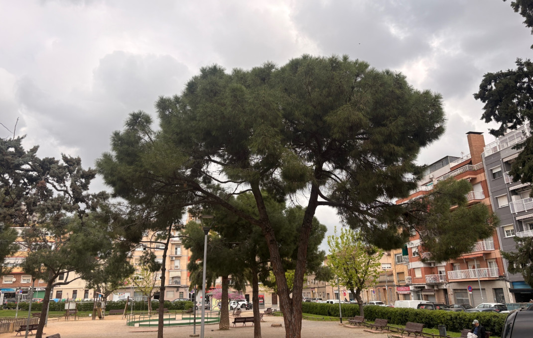 Traspaso - Bar-Cafeteria -
Sant Boi de Llobregat - La Montayeta