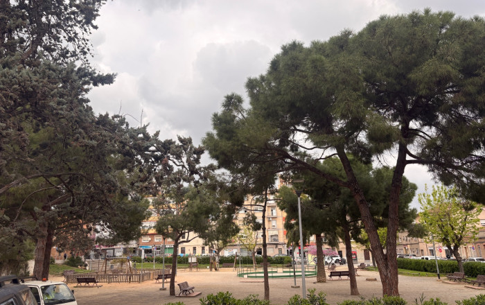 Traspaso - Bar-Cafeteria -
Sant Boi de Llobregat - La Montayeta